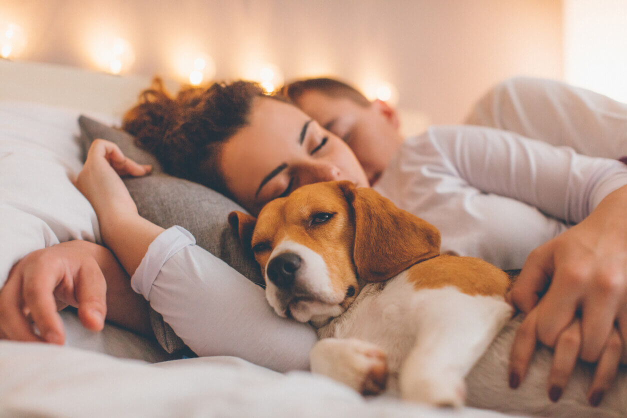 A young couple laying together, with their dog