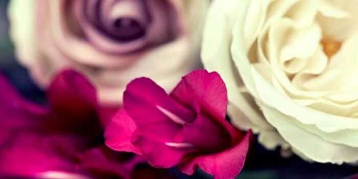 A close-up shot of pink and white assorted flowers